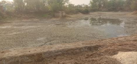 Due to lack of water in the minor, the pond water has dried up