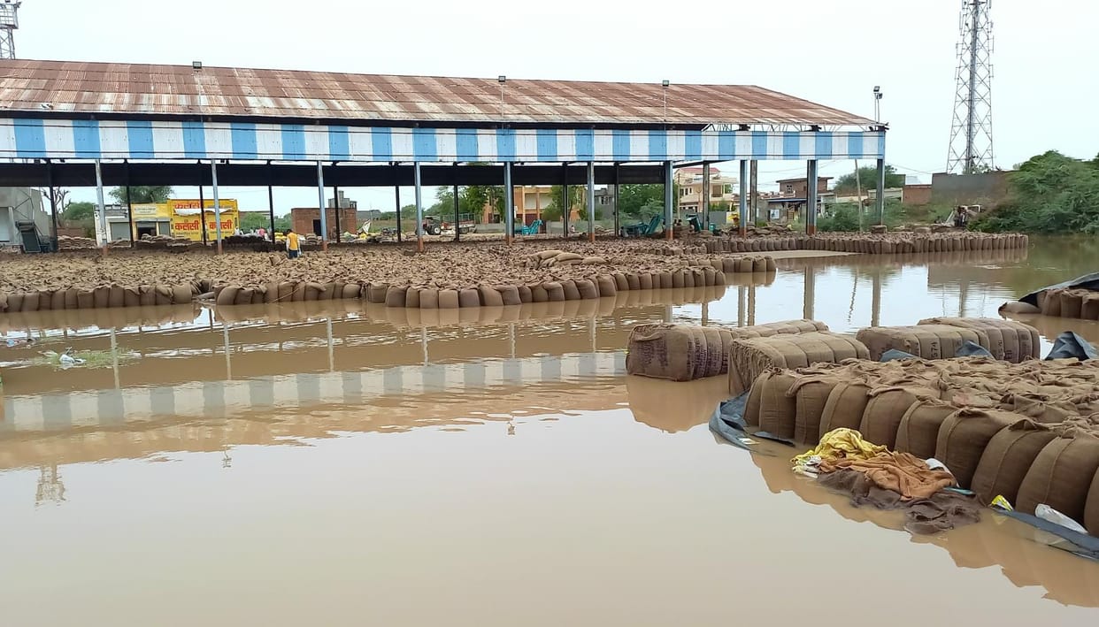 1000 bags of wheat got wet due to four and a half hours of rain
