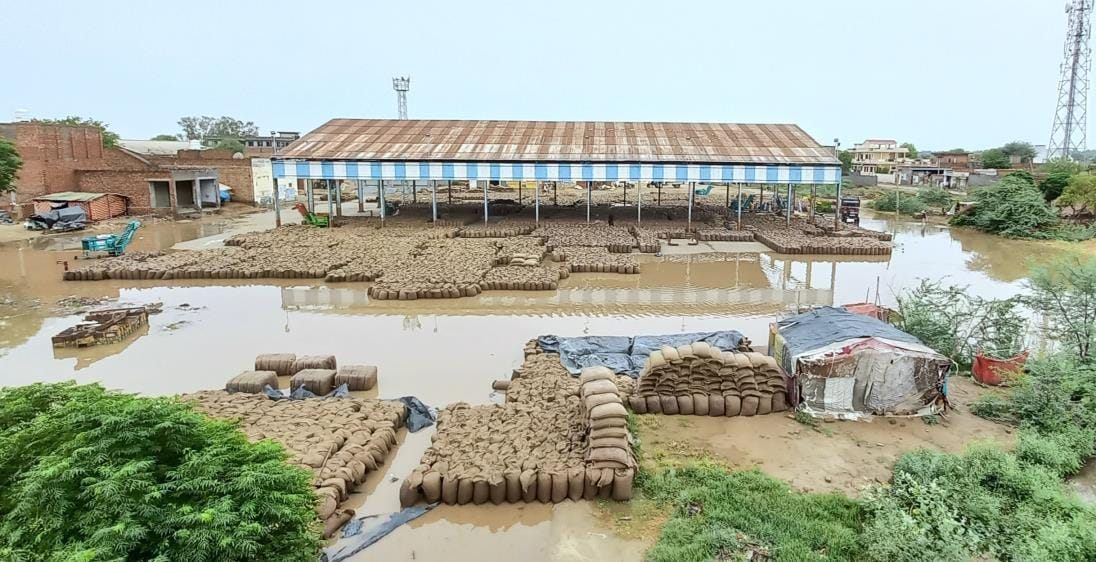 Disasterous rain... 21 lakh quintals of grains kept in the open got wet