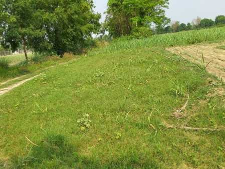 Fear of encroachment on no man's land, people of Nepal are doing farming