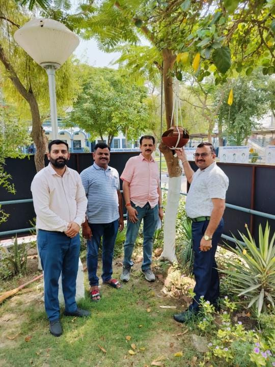Bowls become lifesavers for birds in scorching heat