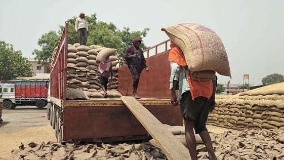 There was no lifting in the markets on time, now lifting is happening without drying after getting wet.