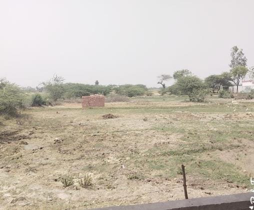 Occupation of government pond, animals and birds are in trouble