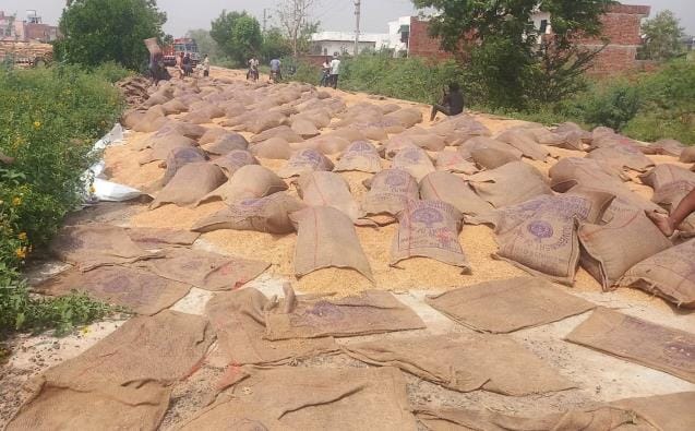 More than 2.5 lakh quintals of wheat got wet in the rain in the mandis, now orders have been issued to refill the sacks