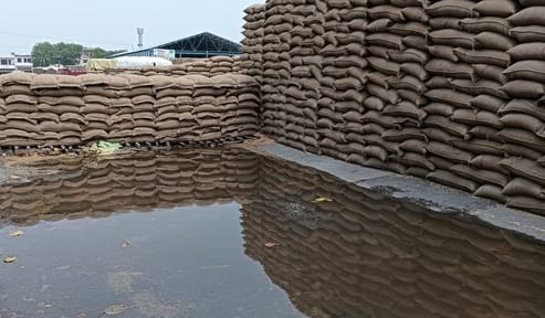 One lakh bags of wheat got wet due to tarpaulin flying in the storm