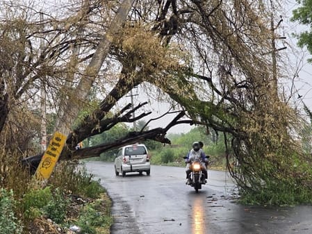 75 poles, 5 transformers and 150 trees fell in the storm
