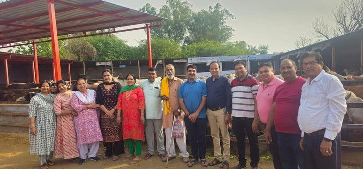Savamani was installed for mother cow