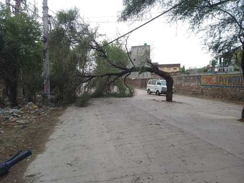storm brought electricity
