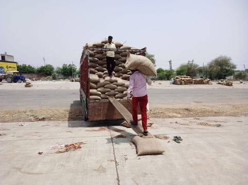 Government purchase of mustard stopped, market price also decreased