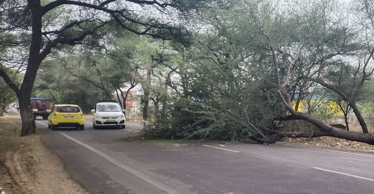 18 electricity poles were broken due to the storm