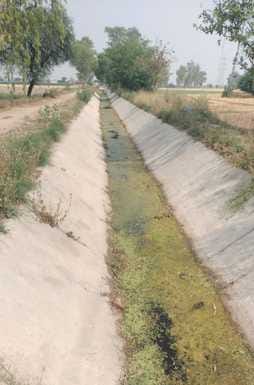 The canal water infrastructure will be strengthened and crops will be irrigated on a large scale