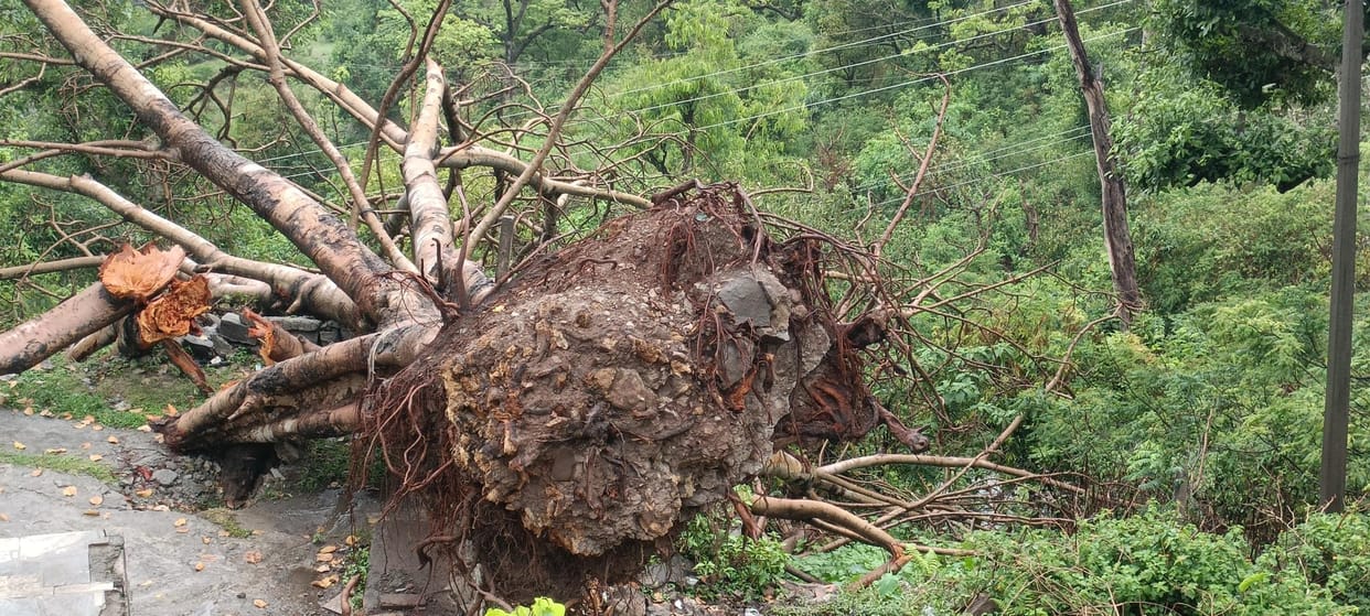 Loss of Electricity Infrastructure Due to Storm