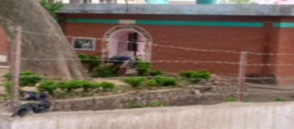 Education Dept. Run Cleanness Drive in School