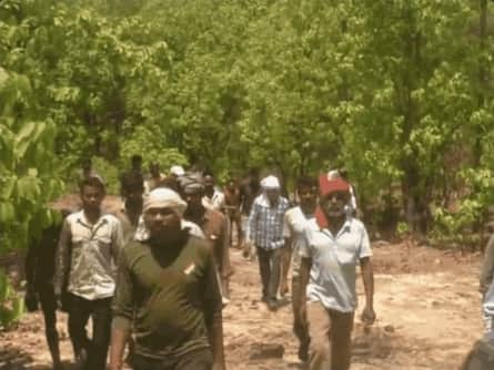 सर्चिंग करती वन विभाग की टीम