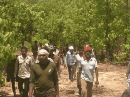 सर्चिंग करती वन विभाग की टीम