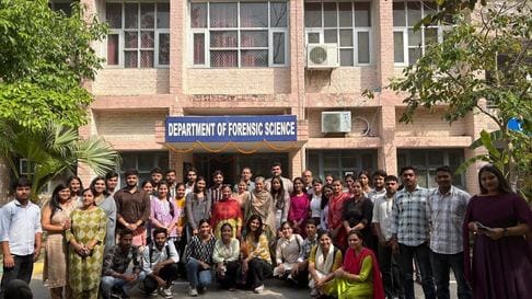 Population output of forensic science in road safety explained