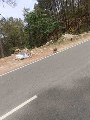 Piles of garbage piled up on the highway, people are troubled by the smell