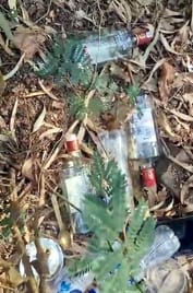 Drinks were spilled in the party held in Indira Park