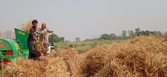 41 crores are due on 14 thousand farmers