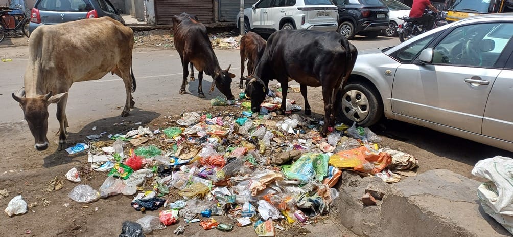 Dirt in the market, shopkeepers upset