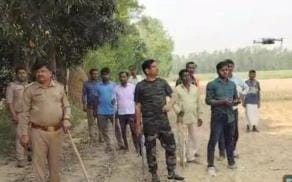 No activity of the tiger could be captured in the drone camera
