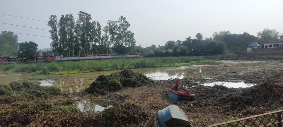 Beautification of historical pond begins