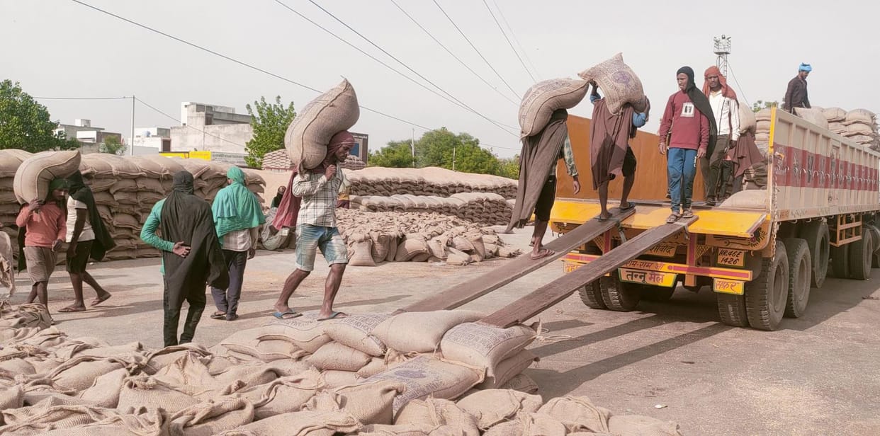 Lifting process in mandis is slow, fear of sacks getting washed away due to rain