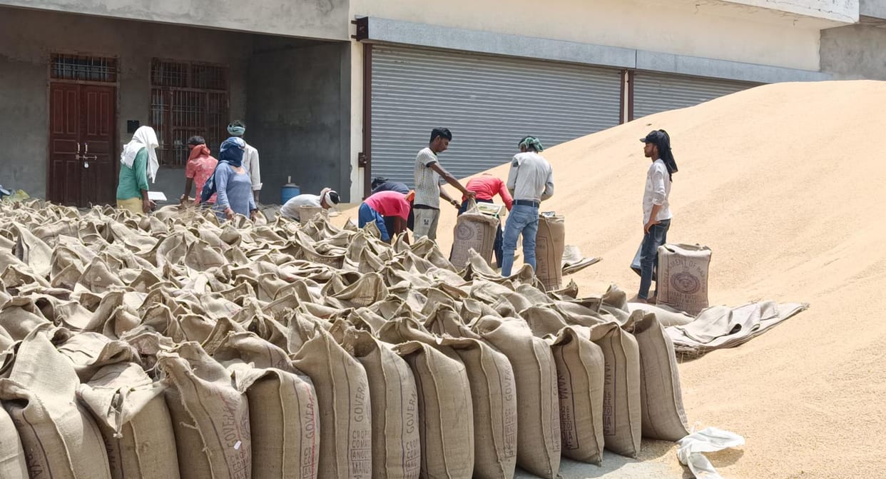 Crop lifting work continues in the markets