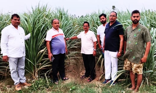 Agricultural scientists of Gorakhpur praised the use of innovation in farming