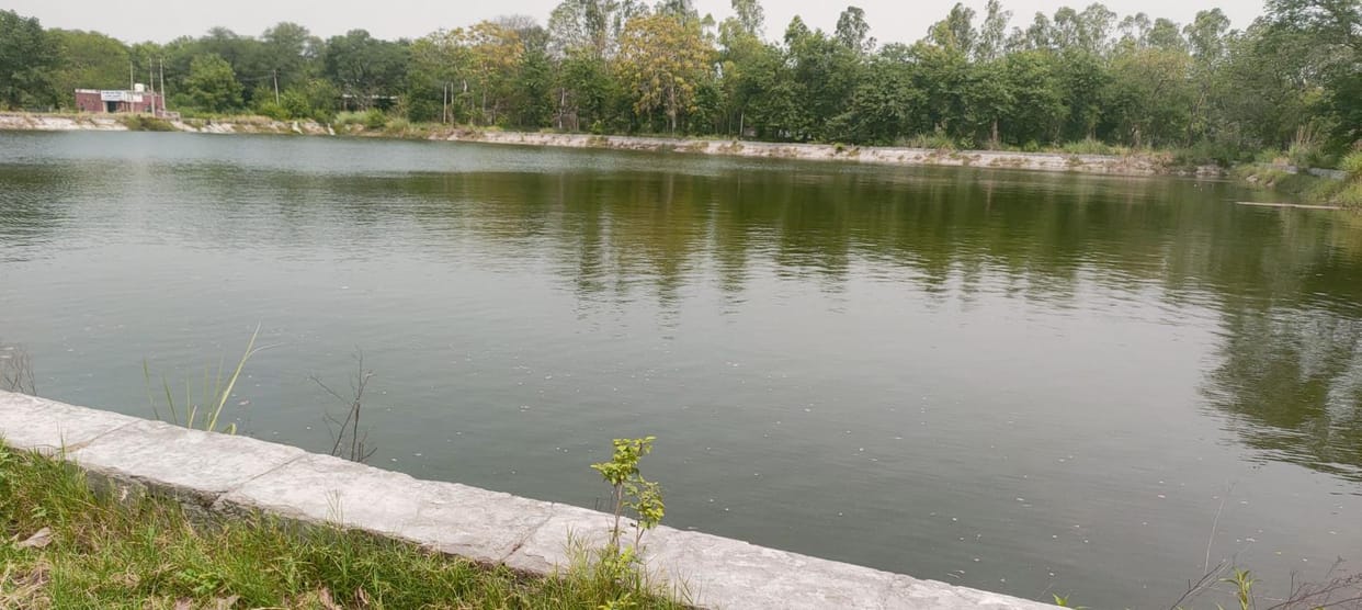 The district needs 920, but 205 cusecs of water is coming in the canals