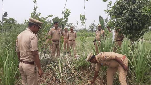 The body of a girl was found, rape and murder suspected