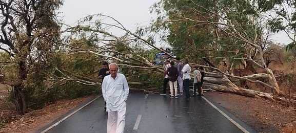 कई स्थानों पर पेड़ गिरने से यातायात बाधित
