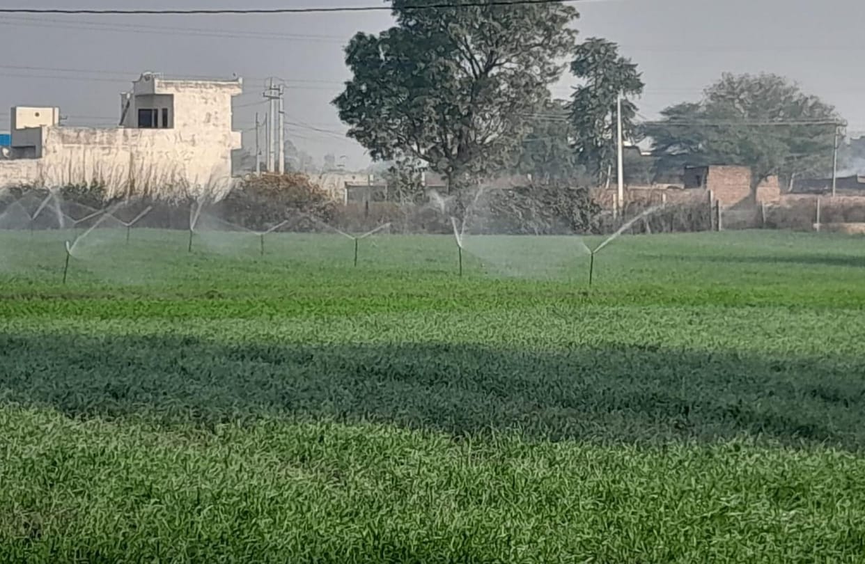 Adopting micro irrigation system saves up to 70 percent of water