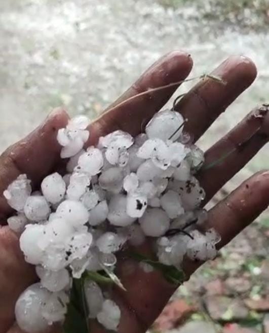 Heavy rain accompanied by strong winds, hail fell
