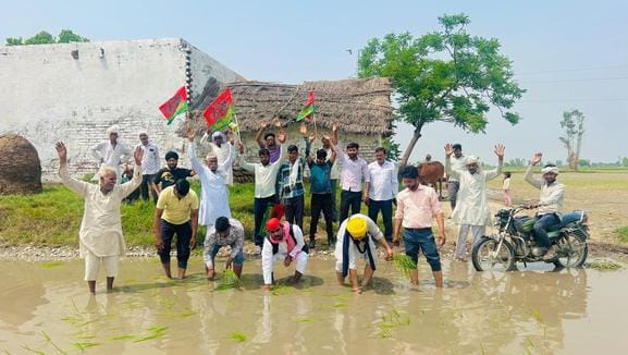The road is not in good condition, SP workers planted paddy