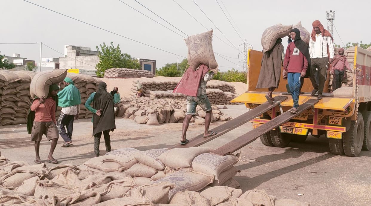 Mustard arrival stopped, agency purchased 7.30 lakh quintals