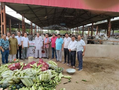 Green vegetable distribution organized in Gopal Gaushala