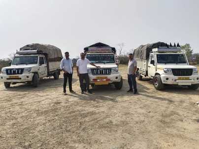 Four vehicles caught with banned species of wood