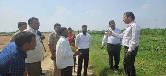The administration got the maize sown on pasture land harvested and sent to the cowshed