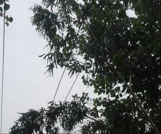 Due to storm and drizzle, electricity of more than 12 villages remained off overnight