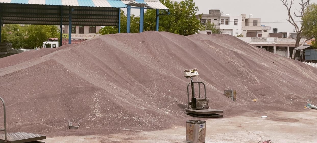 25% of mustard lifting remains from Charkhi Dadri market