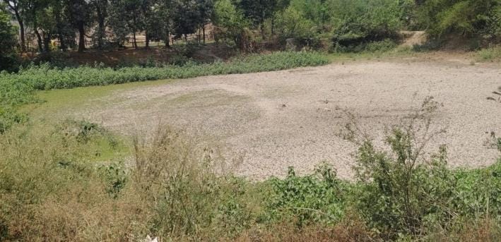 Ponds and ponds dry up, animals and birds in distress