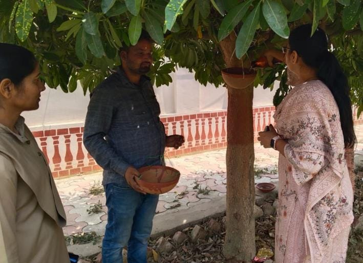 Water bowl installed for birds in Collectorate