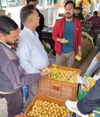 Apricots sold at Rs 135 per kg in Bhuntar