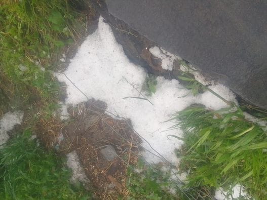 Hail damaged apples, wheat and barley crops were also ruined