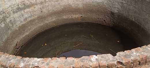 Tragic accident, brother and sister died after falling in a well, incident in Sidhi police station area
