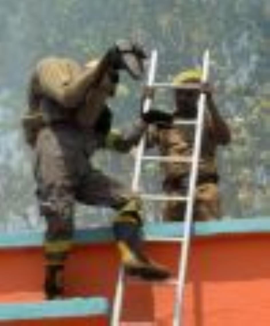 Mock drill: Siren started ringing with loud bang... rescue workers ran