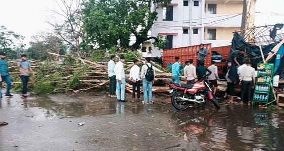 Tree fell in storm and rain, tin flew away, three people including a teacher injured