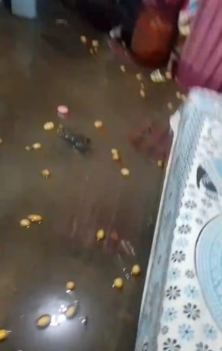 Water entered the house due to garbage getting stuck in the drain, things got spoiled