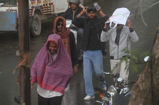 Continuous rains soaked the wheat crop in the fields, causing a loss of Rs 56.95 lakh